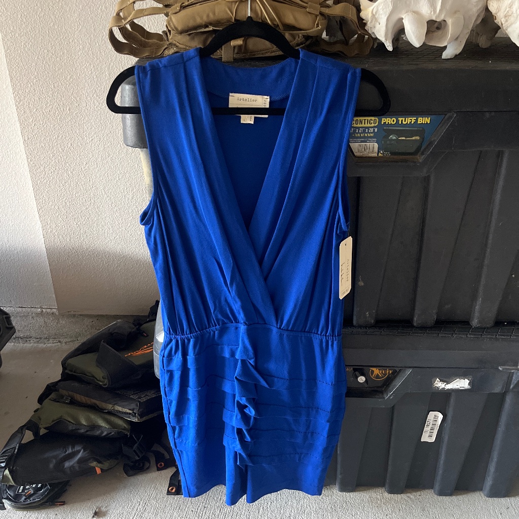 Blue Artelier Dress